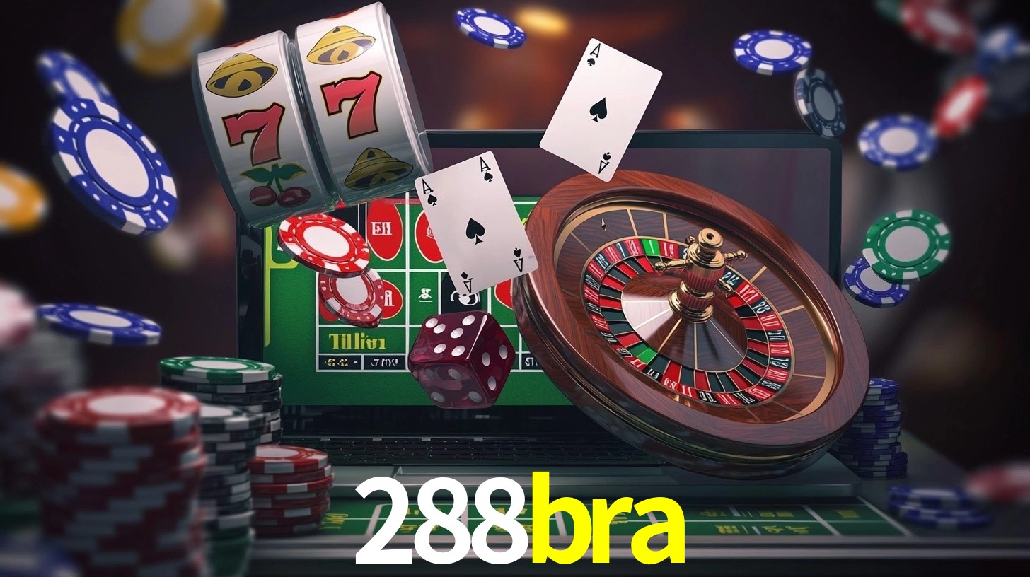 288bra App Interface